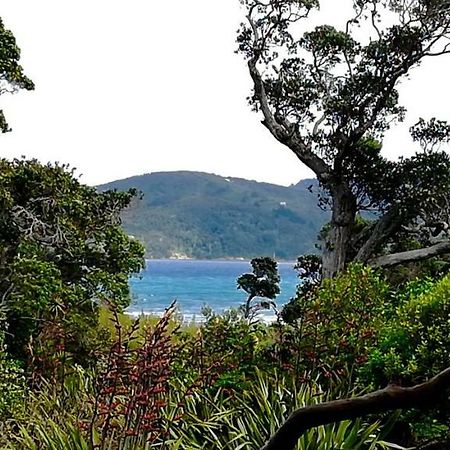 Bed and Breakfast Mulberry Grove Retreat Tryphena Esterno foto