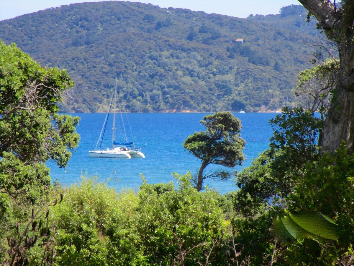 Bed and Breakfast Mulberry Grove Retreat Tryphena Esterno foto