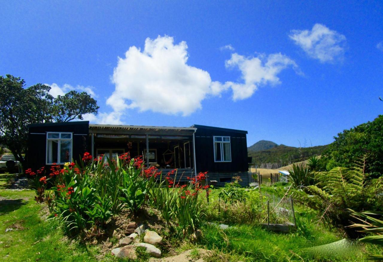 Bed and Breakfast Mulberry Grove Retreat Tryphena Esterno foto